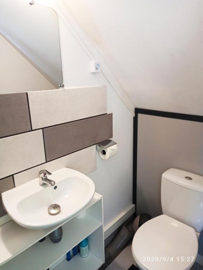 Agreable Studio Dans Le Centre Historique La Ferté-Saint-Aubin Екстериор снимка
